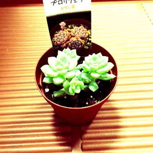 水面,もりぞー,窓辺の画像
