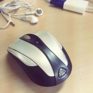 食べられる,天まで届け,インテリアの画像