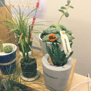 窓辺の画像