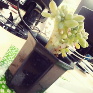 階段/廊下の画像