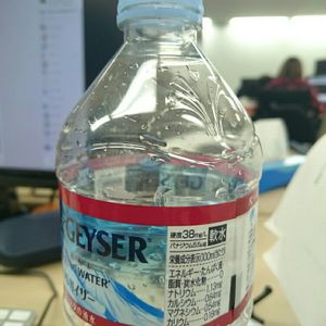 食べられる,立派な入口,部屋の画像