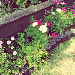 壁/天井の画像