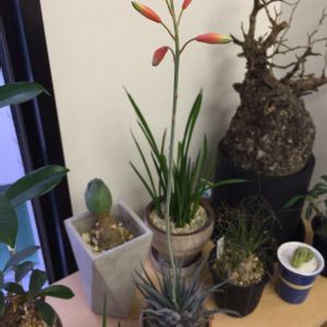 部屋の画像