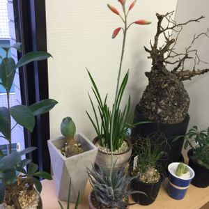 部屋の画像
