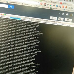食べられる,アクアリウム,インテリアの画像