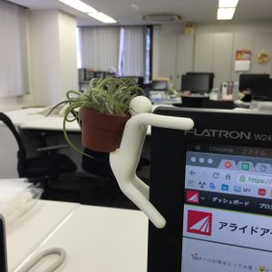 窓辺の画像