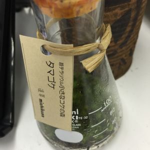 壁/天井の画像