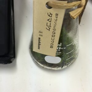 階段/廊下の画像