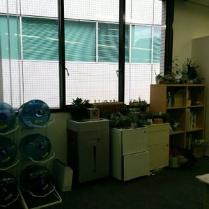 食べられる,窓辺の画像