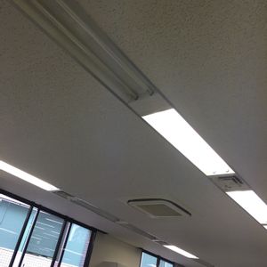 食べられる,立派な入口,棚の画像