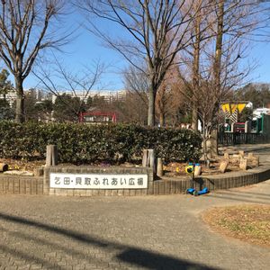 壁/天井の画像