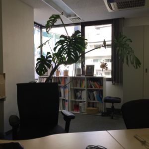 窓辺の画像