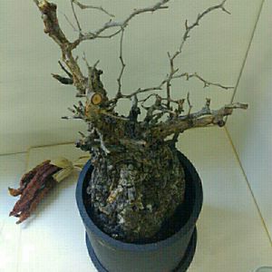 部屋の画像