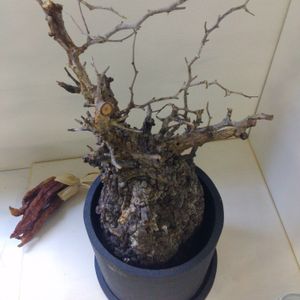 部屋の画像