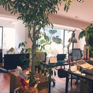 部屋の画像