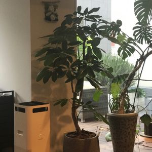 部屋の画像