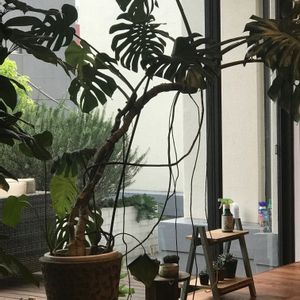 インテリアの画像