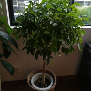 部屋の画像