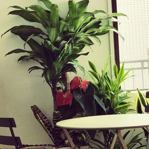 インテリアの画像