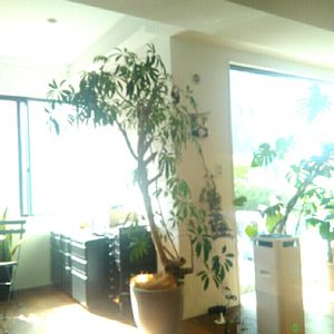 インテリアの画像