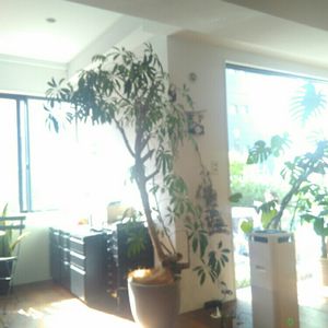 インテリアの画像