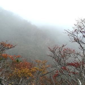 部屋の画像