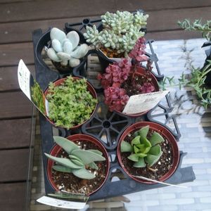 部屋の画像