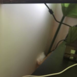 立派な入口,階段/廊下の画像