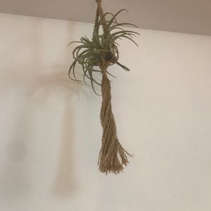 インテリアの画像