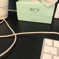 シレネの画像