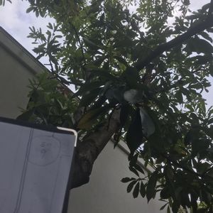 インテリアの画像