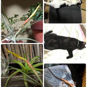 部屋の画像
