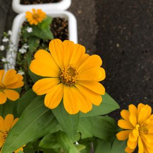 部屋の画像