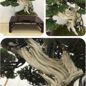 インテリアの画像