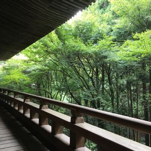 階段/廊下の画像