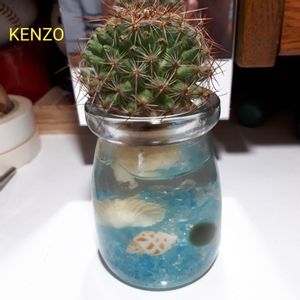 窓辺の画像