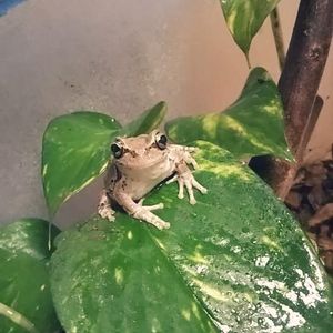 エクステリアの画像