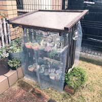 エクステリアの画像
