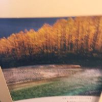 食べられる,立派な入口,リメイク缶,セリア,adidasの画像