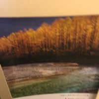 食べられる,立派な入口,リメ缶,リメイク缶,セリアの画像