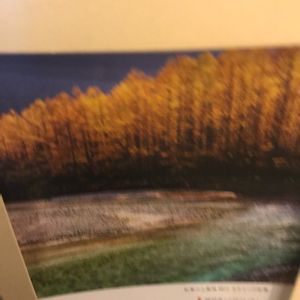 食べられる,立派な入口,リメ缶,リメイク缶,セリアの画像
