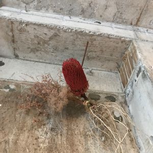 インテリアの画像