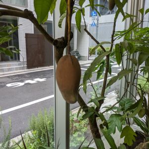 インテリアの画像