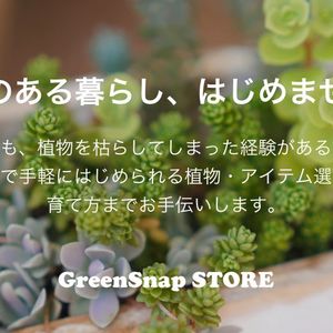 工夫,インテリアの画像