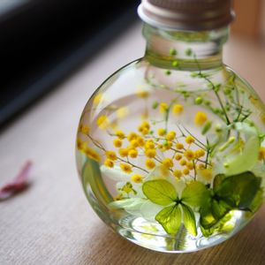 食べられる,立派な入口,インテリアの画像
