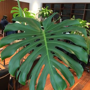 部屋の画像