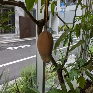 部屋の画像