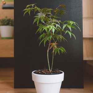 部屋の画像