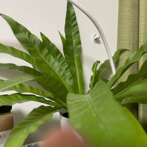 部屋の画像