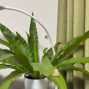 デスクの画像